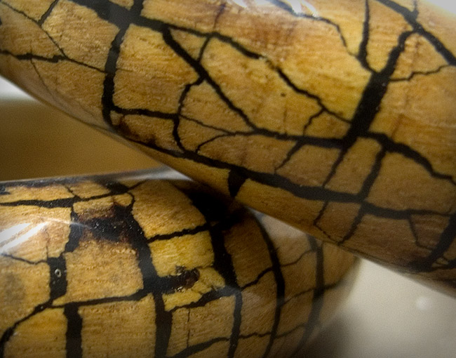 Shipwreck Wooden Bangle